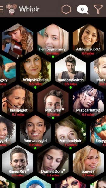 whiplr3